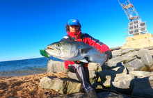 Load image into Gallery viewer, Enticer Minnow