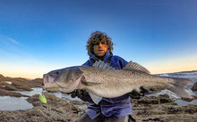 Load image into Gallery viewer, Shad