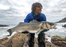 Load image into Gallery viewer, Shad