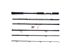 Load image into Gallery viewer, Samson Long Cast Spinning Rod 'MAXIMAL TRAVEL' 12ft Spinning Rod (60-200g)