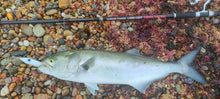 Load image into Gallery viewer, Enticer Minnow