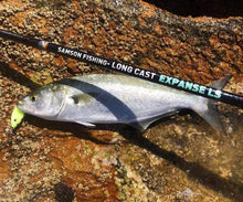 Load image into Gallery viewer, Samson Long Cast Spinning Rod 'EXPANSE TRAVEL' 12ft Spinning Rod (15-60g)