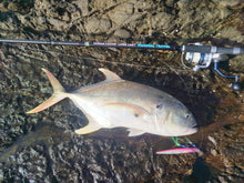 Load image into Gallery viewer, Samson Long Cast Spinning Rod 'MAXIMAL TRAVEL' 12ft Spinning Rod (60-200g)