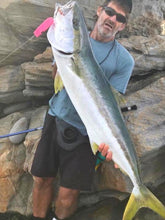 Load image into Gallery viewer, Fat Minnow