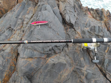 Load image into Gallery viewer, Samson Long Cast 12ft Spinning Rod - TODOS 30-100g