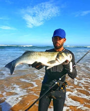 Load image into Gallery viewer, Fat Minnow