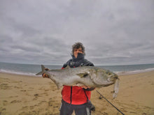 Load image into Gallery viewer, Fat Minnow