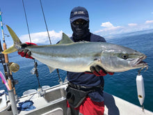 Load image into Gallery viewer, Fat Minnow