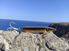 Load image into Gallery viewer, Fat Minnow