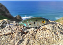 Load image into Gallery viewer, Shad