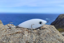 Load image into Gallery viewer, Shad