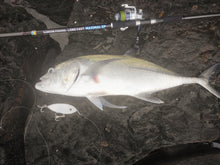 Load image into Gallery viewer, Samson Long Cast 12ft Spinning Rod - MAXIMAL 60-200g