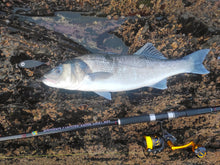 Load image into Gallery viewer, Samson Long Cast 12ft Spinning Rod - TODOS 30-100g