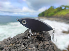 Load image into Gallery viewer, Shad