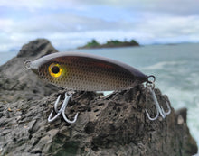 Load image into Gallery viewer, Shad