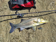 Load image into Gallery viewer, Samson Long Cast 12ft Spinning Rod - TODOS 30-100g
