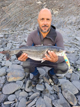 Load image into Gallery viewer, Waylander Pulse Runner – Lead Free Shallow Water Crankbait 28g