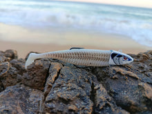 Load image into Gallery viewer, Waylander - Mean Minnow x3 Soft Plastic with Jighead (Lead Free) 27g
