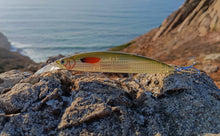 Load image into Gallery viewer, Waylander Pulse Runner – Lead Free Shallow Water Crankbait 28g