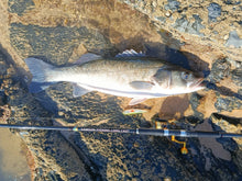 Load image into Gallery viewer, Waylander - Wayward 120 LF Minnow (Lead Free) 30g