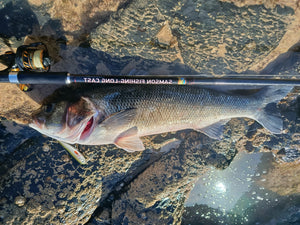 Waylander - Wayward 120 LF Minnow (Lead Free) 30g