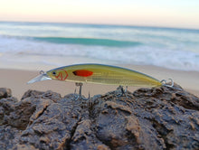 Load image into Gallery viewer, Waylander Pulse Runner – Lead Free Shallow Water Crankbait 28g