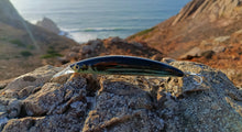 Load image into Gallery viewer, Waylander Pulse Runner – Lead Free Shallow Water Crankbait 28g
