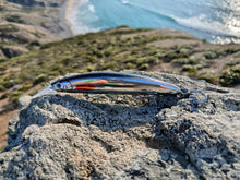 Load image into Gallery viewer, Waylander Pulse Runner – Lead Free Shallow Water Crankbait 28g
