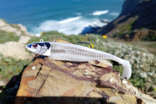 Load image into Gallery viewer, Waylander - Mean Minnow x3 Soft Plastic with Jighead (Lead Free) 27g