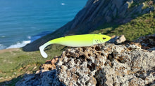 Load image into Gallery viewer, Waylander - Mean Minnow x3 Soft Plastic with Jighead (Lead Free) 27g
