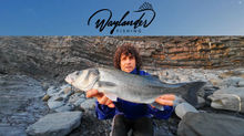 Load image into Gallery viewer, Waylander - Mean Minnow x3 Soft Plastic with Jighead (Lead Free) 27g