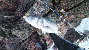 Waylander - Mean Minnow x3 Soft Plastic with Jighead (Lead Free) 27g