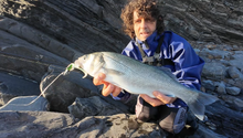 Load image into Gallery viewer, Waylander - Mean Minnow x3 Soft Plastic with Jighead (Lead Free) 27g