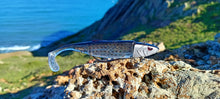 Load image into Gallery viewer, Waylander - Mean Minnow x3 Soft Plastic with Jighead (Lead Free) 27g