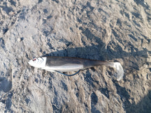 Load image into Gallery viewer, Waylander - Mean Minnow x3 Soft Plastic with Jighead (Lead Free) 27g