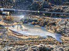 Load image into Gallery viewer, Waylander Pulse Runner – Lead Free Shallow Water Crankbait 28g