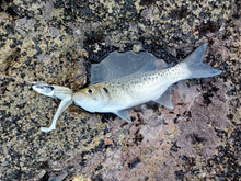 Load image into Gallery viewer, Waylander - Mean Minnow x3 Soft Plastic with Jighead (Lead Free) 27g