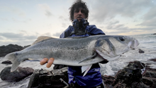 Load image into Gallery viewer, Waylander - Mean Minnow x3 Soft Plastic with Jighead (Lead Free) 27g