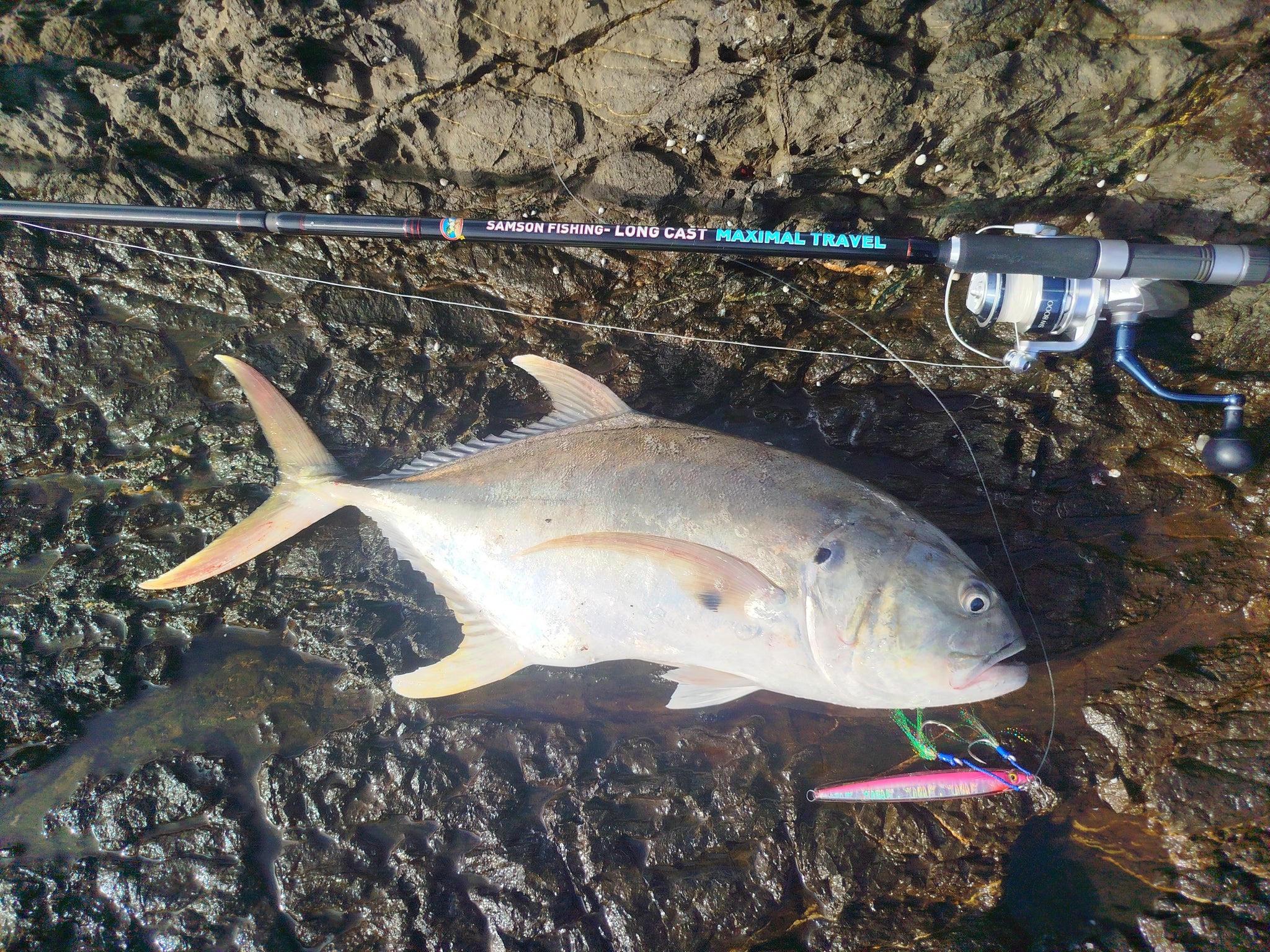 12 ft 60 fishing pole 12'ft Fiber Glass Poke DURASNARE lightweight armoured carbon black and boasts a slim Japanese shrink rubber handle Samson Long Cast Spinning Rod