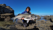 Load image into Gallery viewer, Waylander - Wayward 120 LF Minnow (Lead Free) 30g