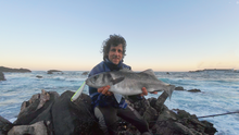 Load image into Gallery viewer, Waylander - Wayward 120 LF Minnow (Lead Free) 30g