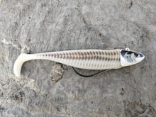 Load image into Gallery viewer, Waylander - Mean Minnow x3 Soft Plastic with Jighead (Lead Free)