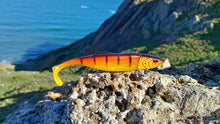 Load image into Gallery viewer, Waylander - Mean Minnow x3 Soft Plastic with Jighead (Lead Free) 27g