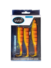 Load image into Gallery viewer, Waylander - Mean Minnow x3 Soft Plastic with Jighead (Lead Free) 27g