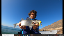 Load image into Gallery viewer, Waylander - Mean Minnow x3 Soft Plastic with Jighead (Lead Free) 27g
