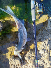 Load image into Gallery viewer, Waylander - Mean Minnow x3 Soft Plastic with Jighead (Lead Free) 27g