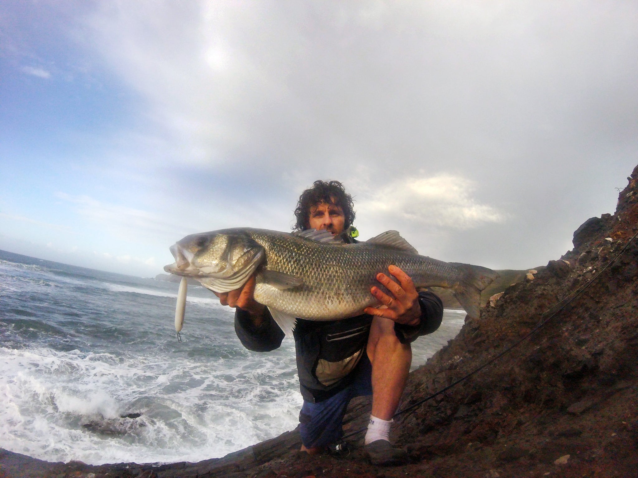 Tweak Bait - Fast Sink (Sub Surface) – SamsonFishing