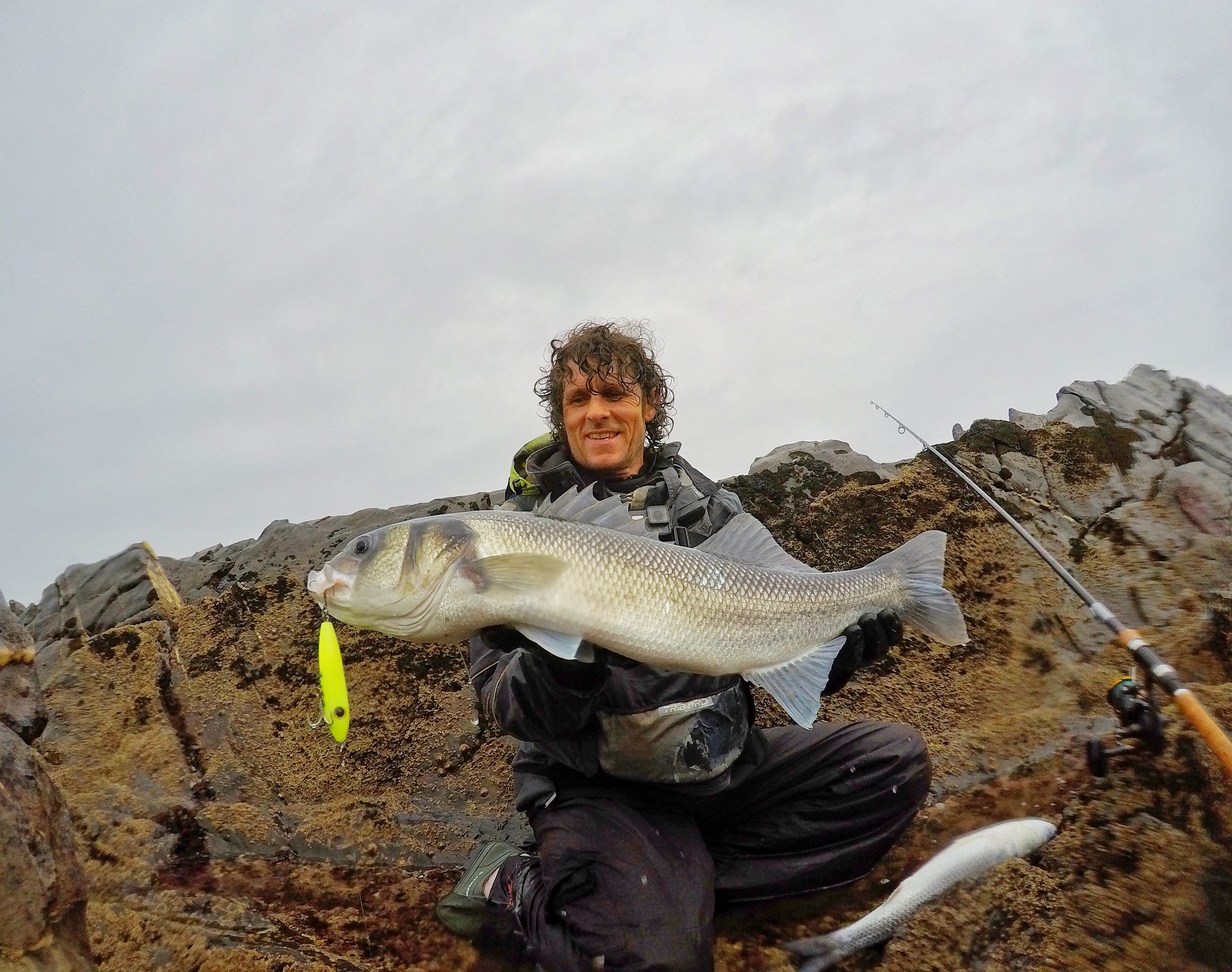 Tweak Bait - Fast Sink (Sub Surface) – SamsonFishing