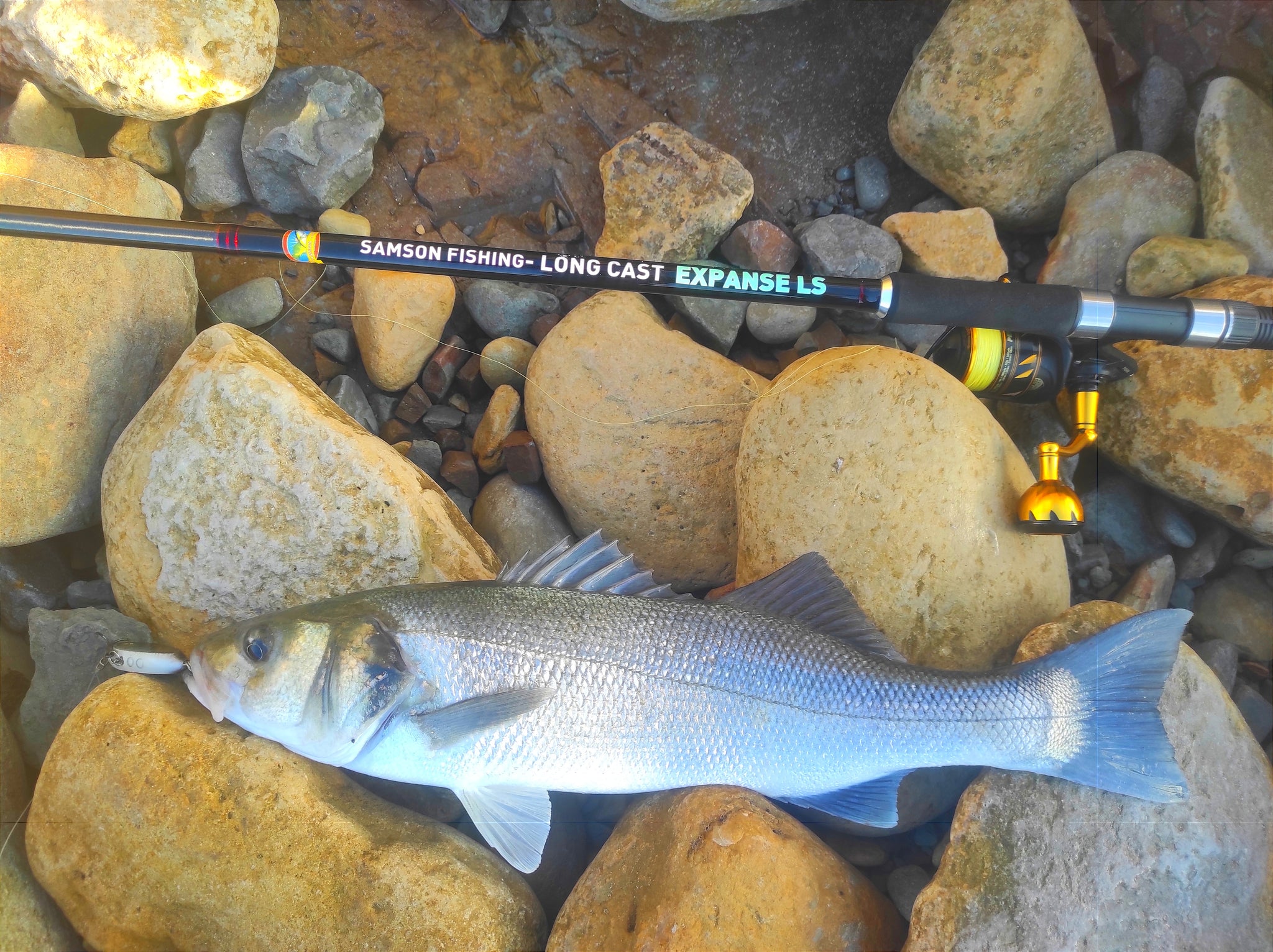 Samson Fish Rig Samson Long Cast 12ft Spinning Rod - EXPANSE LS 15-60g – SamsonFishing