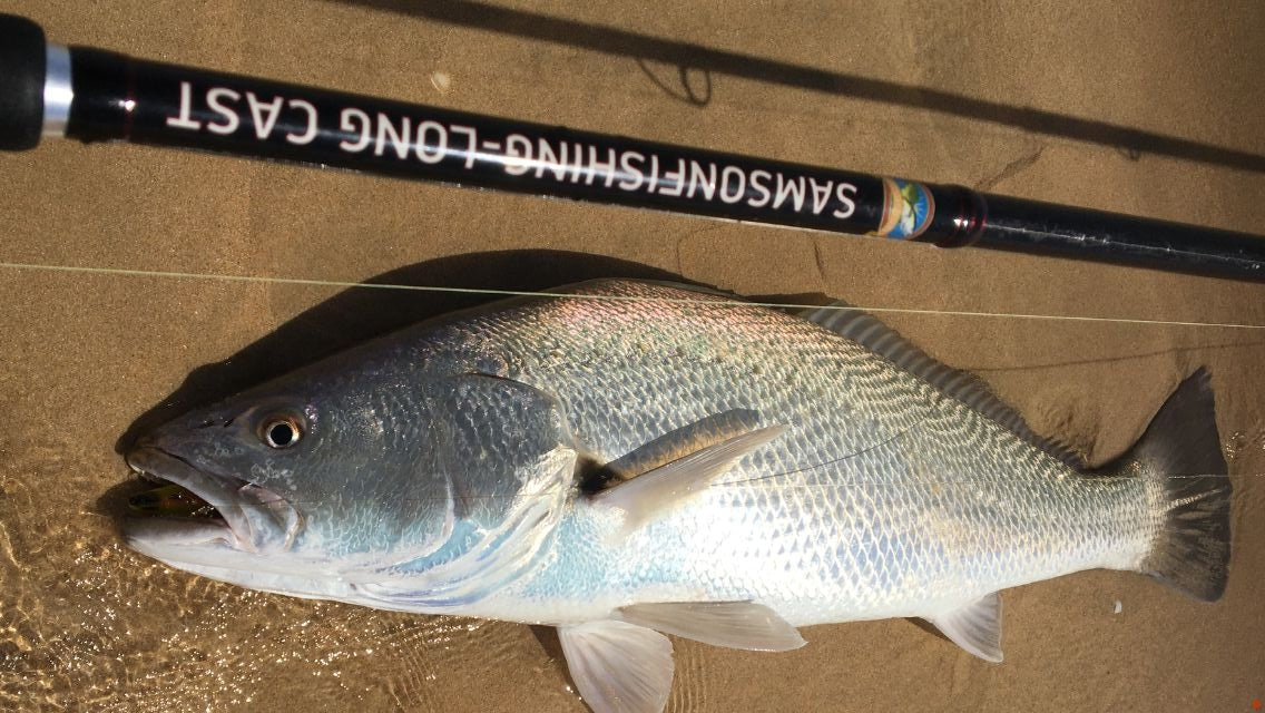 Samson Fish Rig Samson Long Cast 12ft Spinning Rod - TODOS 30-100g – SamsonFishing